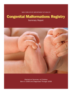 Congenital Malformations 2006 Report