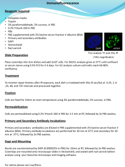 Immunofluorescence