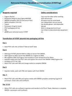 Retroviral Primary Fibroblast Immortalisation (hTERTing)