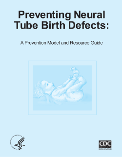 CDC. Preventing Neural Tube Birth Defects: A Prevention Model and Resource Guide