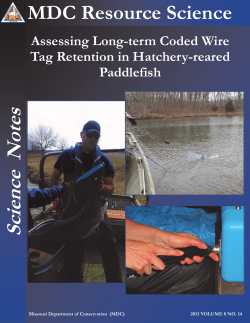 2013_Coded_Wire_Retention_in_Paddlefish_Vol8_14.pdf