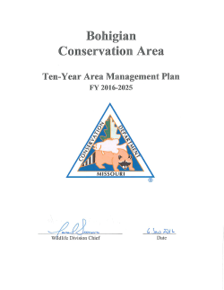 2016 Bohigian Conservation Area Management Plan