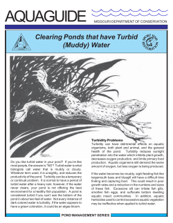 Clearing Muddy Pond Water