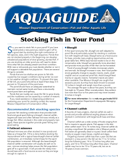 Stocking Fish In Your Pond