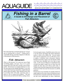 Pond Fish Attractors