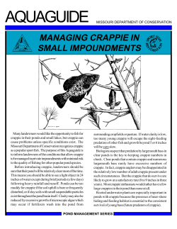 Crappie in Small Ponds
