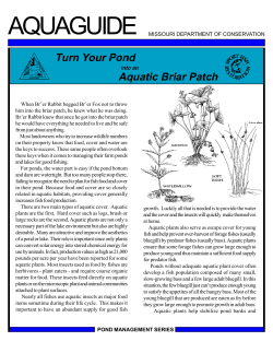 Establishing Fish Cover