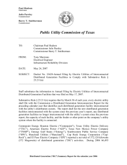 2006 Annual Filing