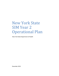 New York SIM Operational Plan 2016
