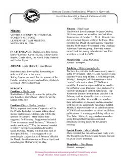 November, 2010 LT Meeting Minutes