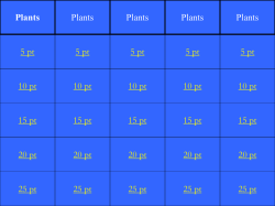 Plants Jeopardy 2