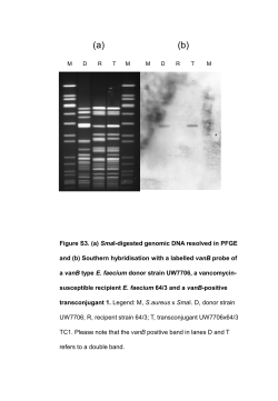 Download this supplementary material