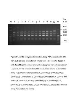 Download this supplementary material