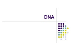 DNA Powerpoint