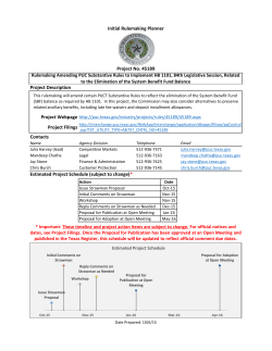 Initial Rulemaking Planner and Timeline