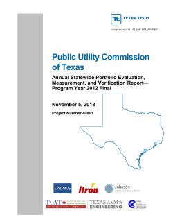 Texas PUC Statewide Impact Evaluation Annual Portfolio Report for 2012