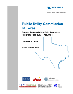 Texas PUC Statewide Annual Portfolio Report for 2013 Vol-1