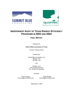 Independent Audit of the Texas Energy Efficiency Programs in 2003 and 2004 - Final Report - Project No. 30170