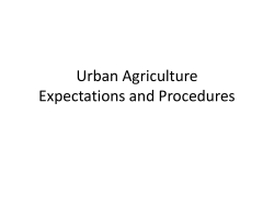Expectations Procedures
