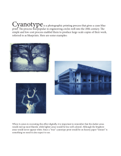 Cyanotypes