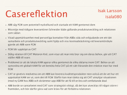 Casereflektion Isak Larsson.pdf