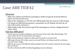 Case ABB Erica M&aring;nsson.pdf