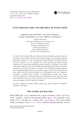 Fast Growth and the Role of Innovation