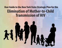 User Guide to the NYS Strategic Plan