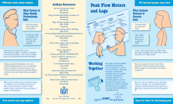 Peak Flow Meters and Logs