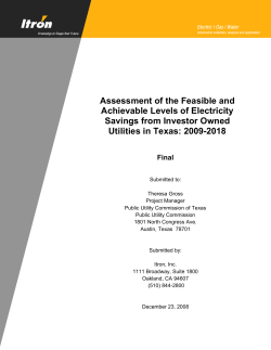 Assessment of the Feasible and Achievable Levels of Electricity Savings from Investor Owned Utilities in Texas: 2009-2018