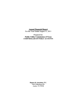 FY 2011 Annual Financial Report