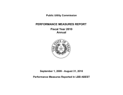 FY 2010 Performance Measures Report - Annual