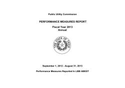 FY 2013 Performance Measures Report - Annual
