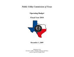 FY 2010 Operating Budget