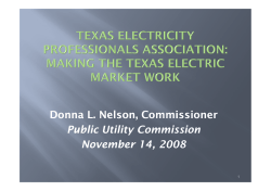 Texas Electricity Professionals Association - November 14, 2008