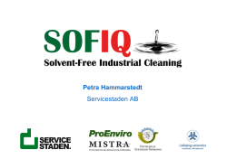 SofiQ. Petra Hammarstedt, Servicestaden