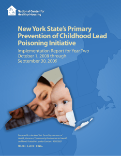 Implementation Report for Year Two