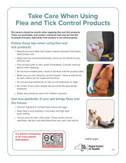 Download our Sheet of Takeaway Tips