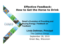 Effective Feedback: How to Get the Horse to Drink