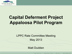 Colorado Springs: The Appaloosa Project