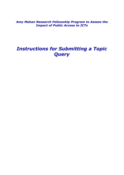 3. Topic Query Instructions
