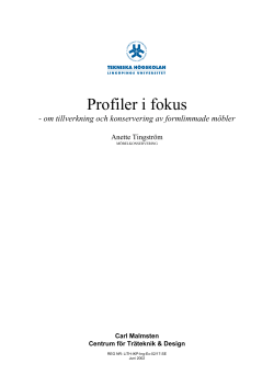 Profiler i fokus: om tillverkning och konservering av formlimmade m bler