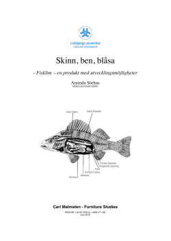 Skinn, ben, bl sa: fisklim en produkt med utvecklingsm jlighete