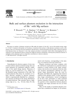 Riccardi plasmons Mg..