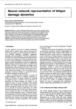 Neural Network Representation of Fatigue Damage Dynamics