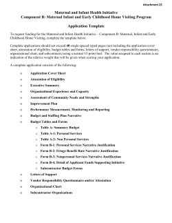 Attachment 22: Component B: Maternal Infant and Early Childhood Home Visiting Program Application Template