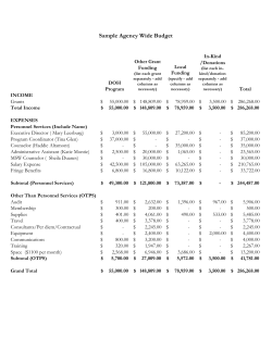 Sample Agency-Wide Budget