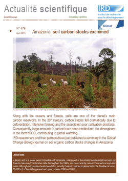 Scientific news n&deg;479 ( PDF , 945 Ko)