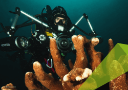 Download Excellence in research (PDF, 2494 Ko)