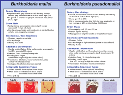 http://www.health.ny.gov/guidance/oph/wadsworth/berkholderia.pdf